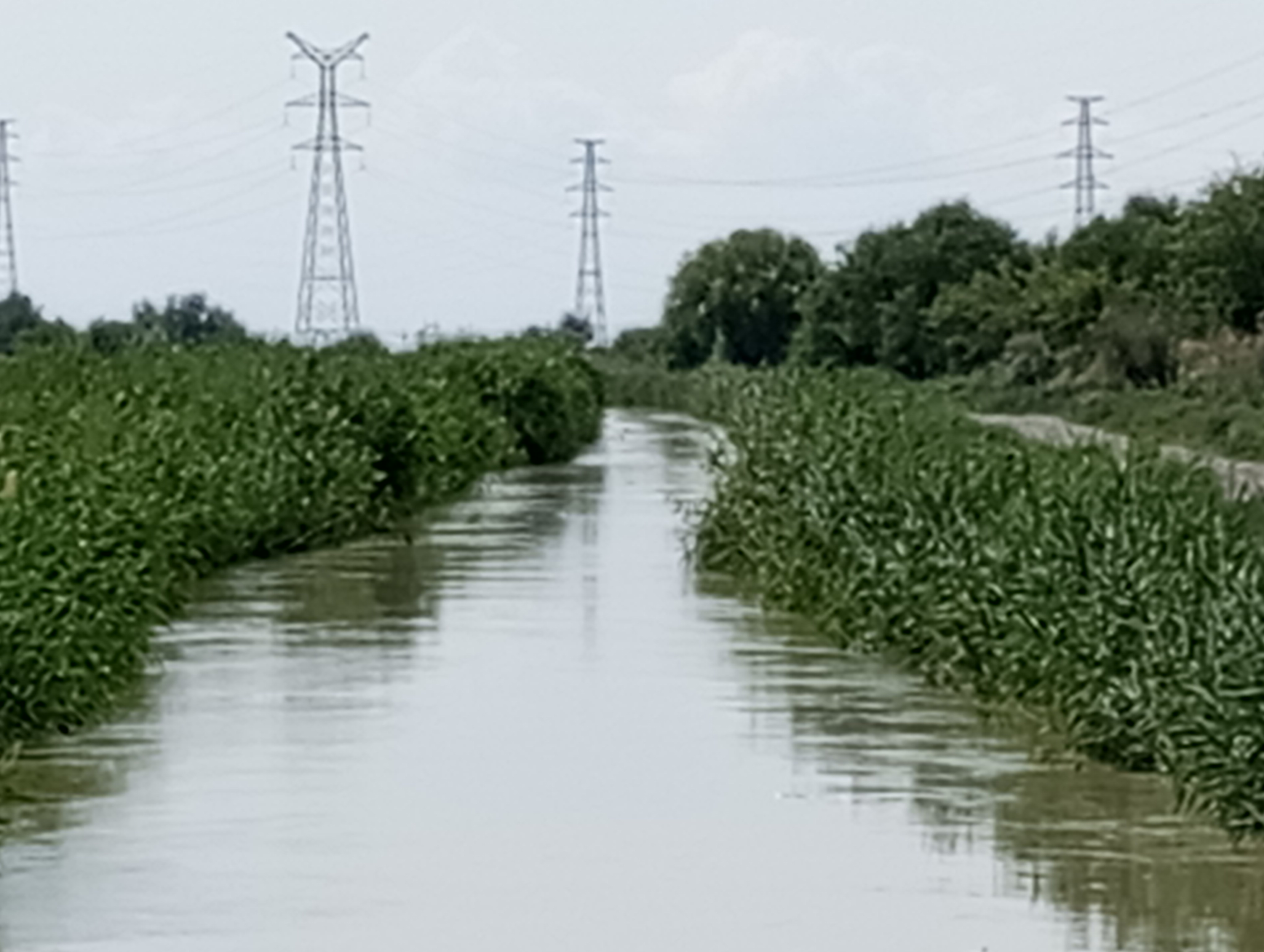Canal-250712-003